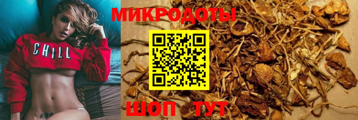Псилоцибиновые грибы Psilocybine cubensis Клин